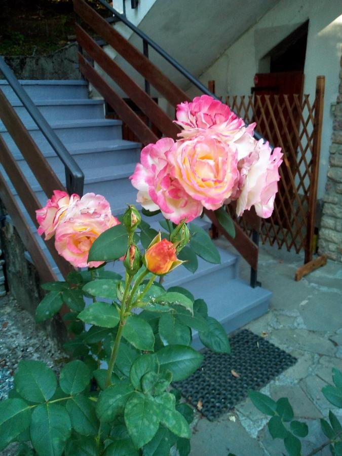 Bed and Breakfast M&G Ranch Vendaso Екстер'єр фото